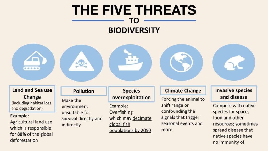 why-biodiversity-is-important-to-human-health-the-national